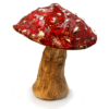 0033 - Muchomorek czerwony